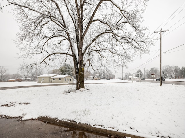 view of snowy yard