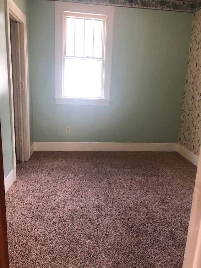 spare room featuring carpet floors