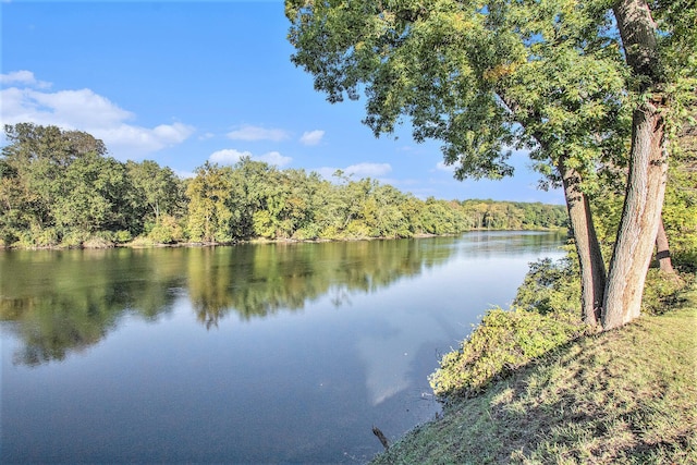 1806 Bond St, Niles, MI 49120 - water view featuring a heavily wooded area