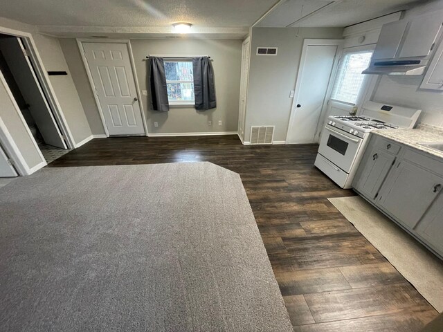 318 N Grand St, Schoolcraft, MI 49087 - kitchen with white gas stove, dark wood-type flooring, healthy amount of natural light, and baseboards