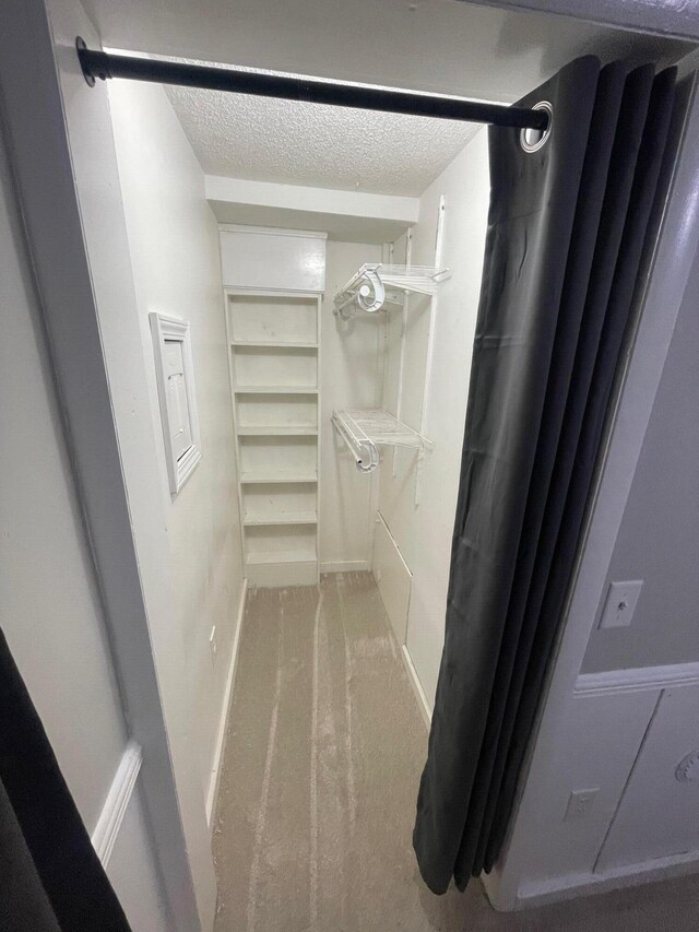 318 N Grand St, Schoolcraft, MI 49087 - spacious closet with carpet flooring