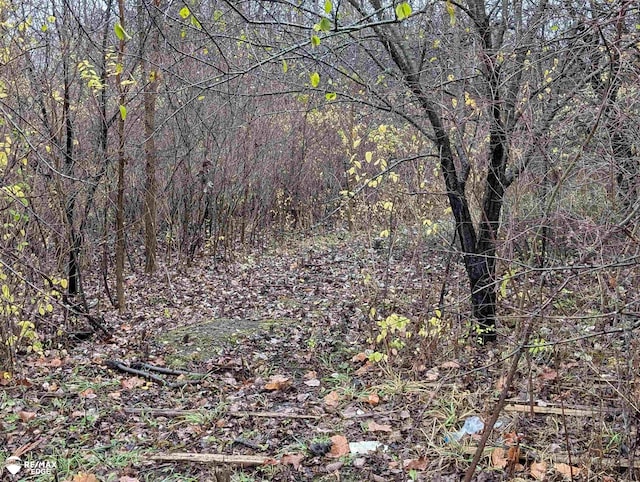 view of local wilderness