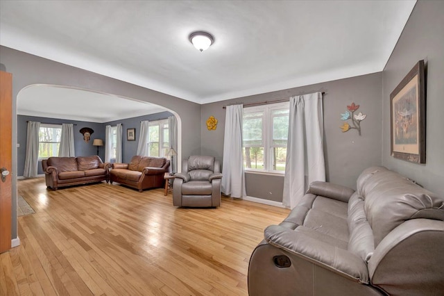 living room with a wealth of natural light and light hardwood / wood-style flooring