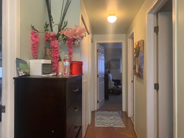 corridor with hardwood / wood-style floors