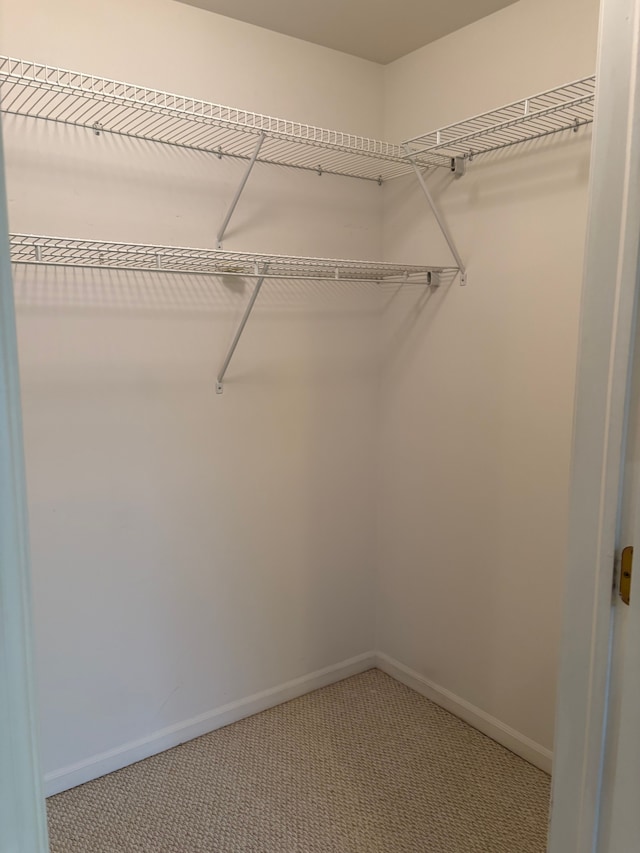 spacious closet with light carpet