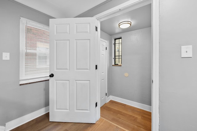 interior space with hardwood / wood-style floors and a wealth of natural light