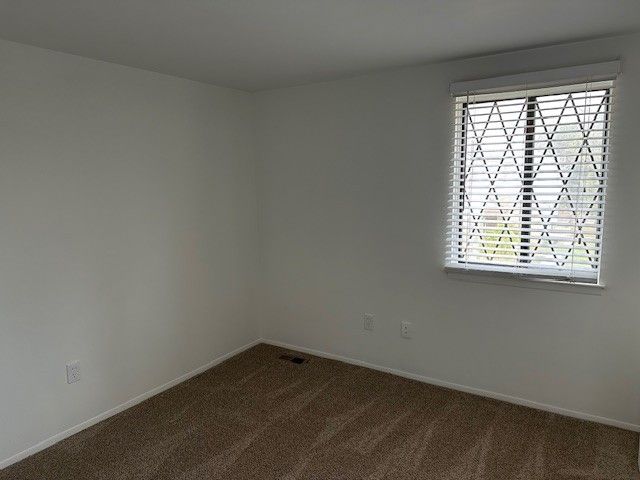 empty room featuring carpet