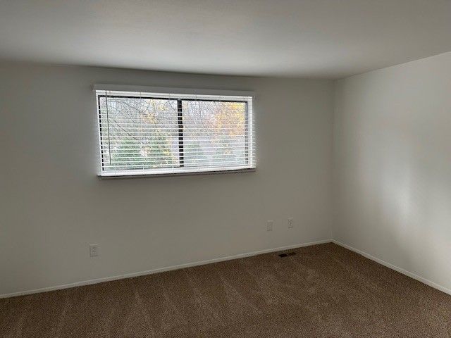 carpeted empty room featuring plenty of natural light