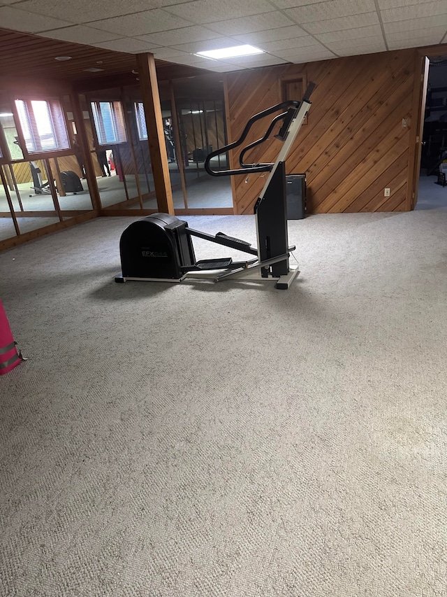 workout room featuring carpet floors, a paneled ceiling, and wood walls