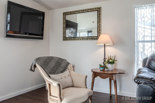 sitting room featuring dark hardwood / wood-style floors and a textured ceiling