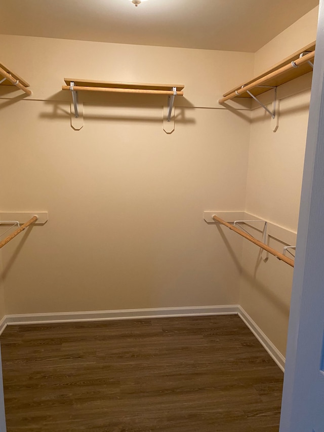 spacious closet featuring dark hardwood / wood-style flooring