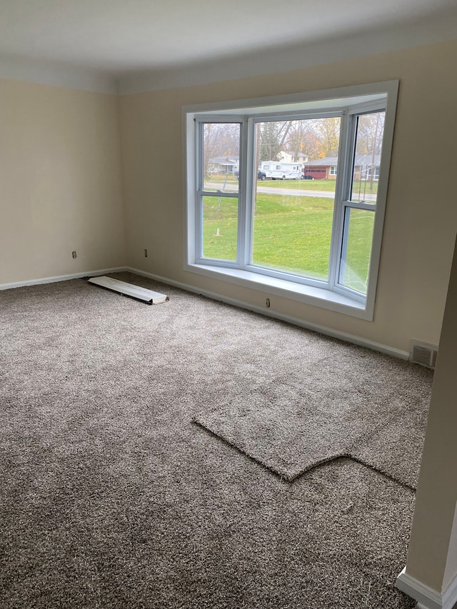 view of carpeted spare room