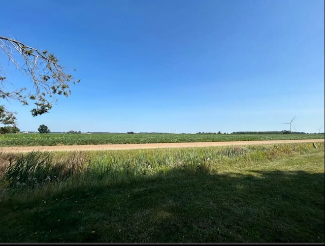 view of local wilderness with a rural view