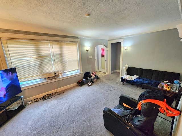 carpeted living room with a textured ceiling