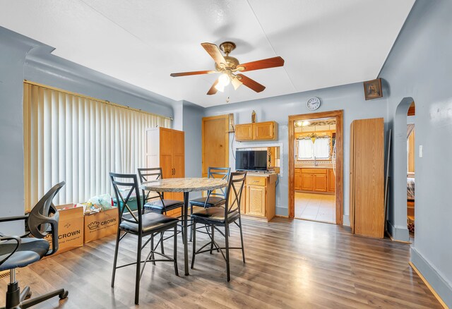 dining space with ceiling fan and light wood-type flooring