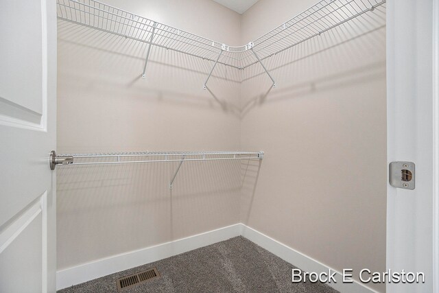 walk in closet featuring carpet floors