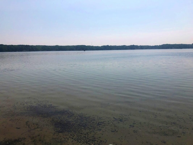 14402 90th Ave, Mecosta, MI 49332 - water view