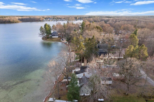 14402 90th Ave, Mecosta, MI 49332 - view of property location with a large body of water