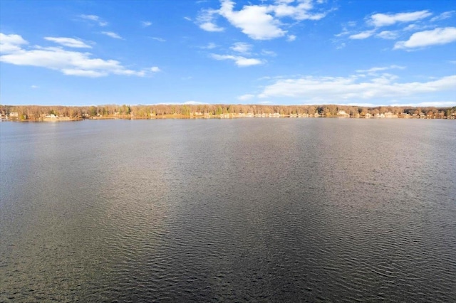 14402 90th Ave, Mecosta, MI 49332 - water view