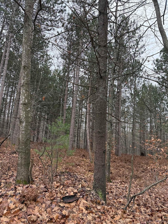 V/L E 22 3/4 Rd, Manton, MI 49663