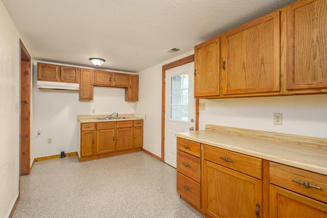 kitchen with a textured ceiling and sink