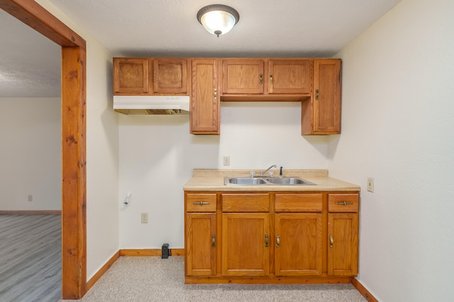 kitchen featuring a textured ceiling, light colored carpet, and sink