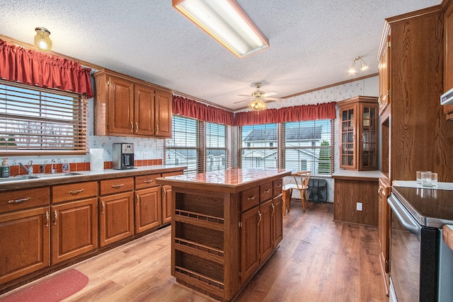 kitchen with a center island, light hardwood / wood-style floors, and a wealth of natural light