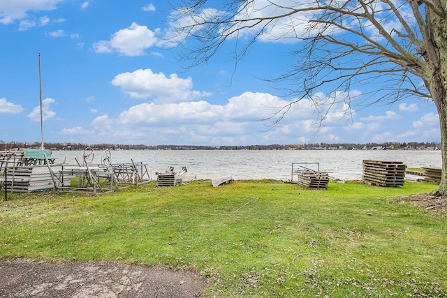 view of yard with a dock and a water view