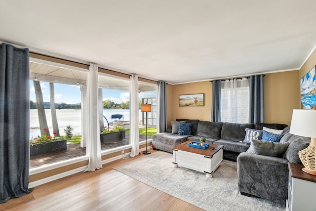 living room with plenty of natural light, light hardwood / wood-style floors, a water view, and ornamental molding