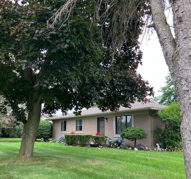 view of front of house with a front lawn