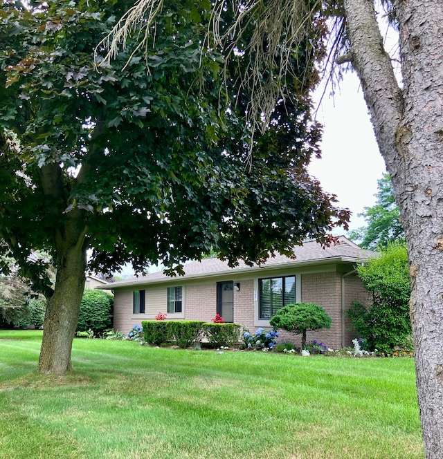 view of front facade featuring a front lawn