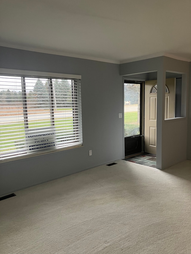 empty room with carpet flooring, a healthy amount of sunlight, and ornamental molding