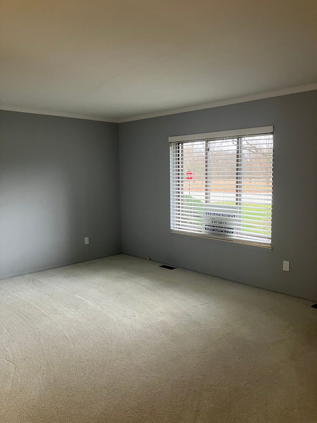 carpeted empty room with ornamental molding