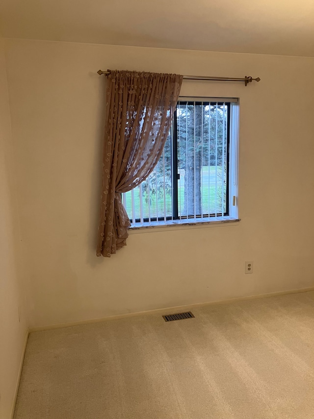 carpeted empty room featuring a wealth of natural light