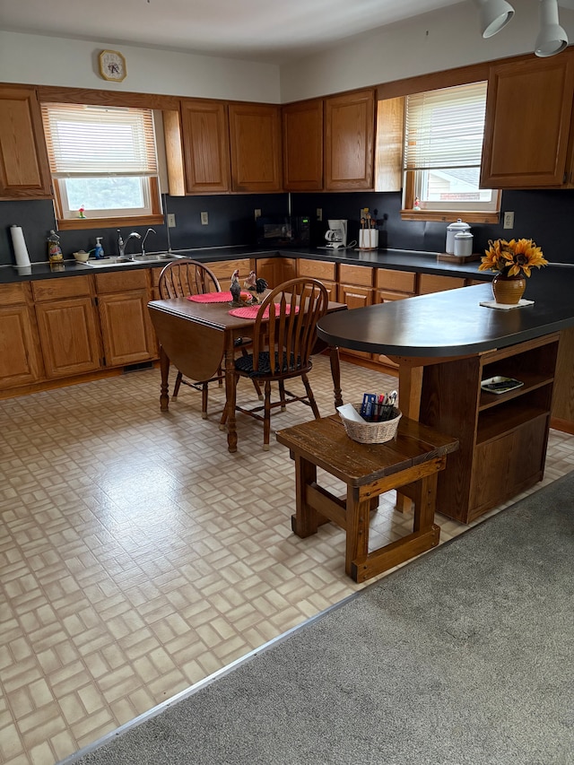 kitchen with sink and a wealth of natural light