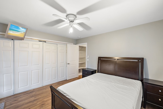 bedroom with ceiling fan, a closet, and dark wood-type flooring