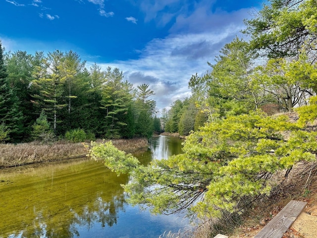 4545 Merkel Ln, Oscoda, MI 48750