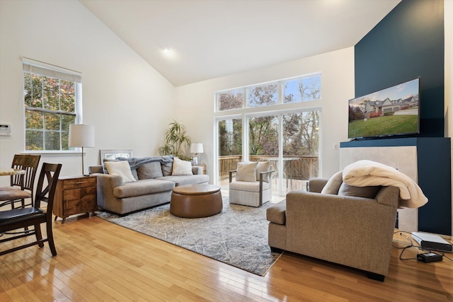 living room featuring high vaulted ceiling and hardwood / wood-style flooring