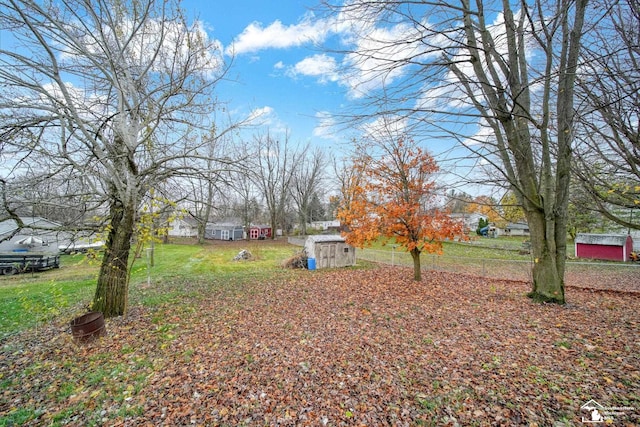 view of yard featuring a storage shed