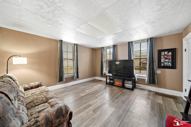 living room with hardwood / wood-style flooring