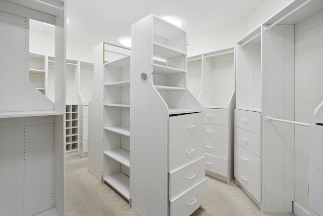 walk in closet featuring light carpet