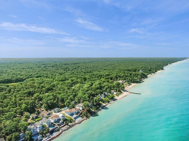 drone / aerial view featuring a water view and a view of trees