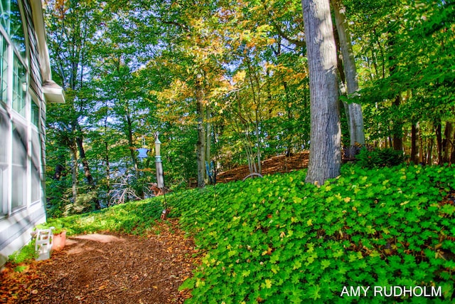 1749 Sunset Point Dr, Norton Shores, MI 49441 - view of yard