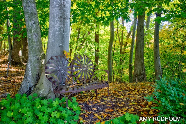 1749 Sunset Point Dr, Norton Shores, MI 49441 - view of nature