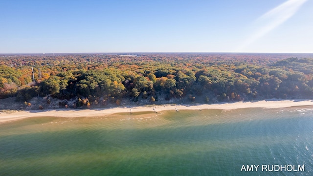1749 Sunset Point Dr, Norton Shores, MI 49441 - aerial view of a forest