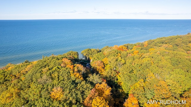 1749 Sunset Point Dr, Norton Shores, MI 49441 - drone / aerial view of a large body of water and a heavily wooded area