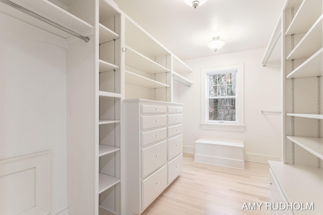 1749 Sunset Point Dr, Norton Shores, MI 49441 - spacious closet with light wood finished floors