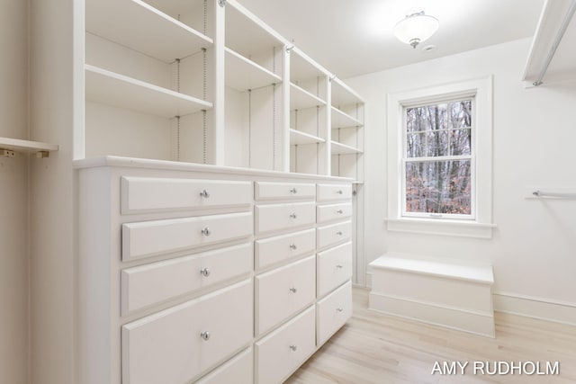 1749 Sunset Point Dr, Norton Shores, MI 49441 - walk in closet with light wood-style floors