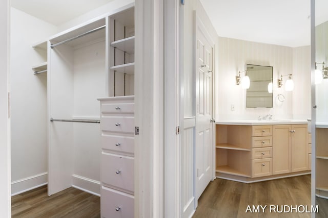 1749 Sunset Point Dr, Norton Shores, MI 49441 - walk in closet featuring dark wood-type flooring and a sink