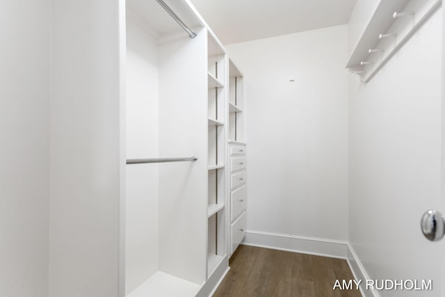 1749 Sunset Point Dr, Norton Shores, MI 49441 - walk in closet with wood finished floors